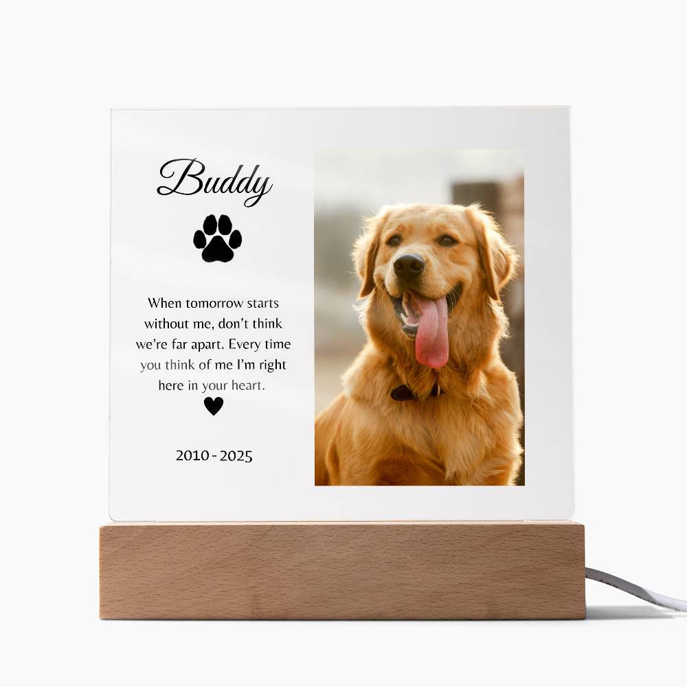 Personalized LED Acrylic Pet Memorial Plaque
