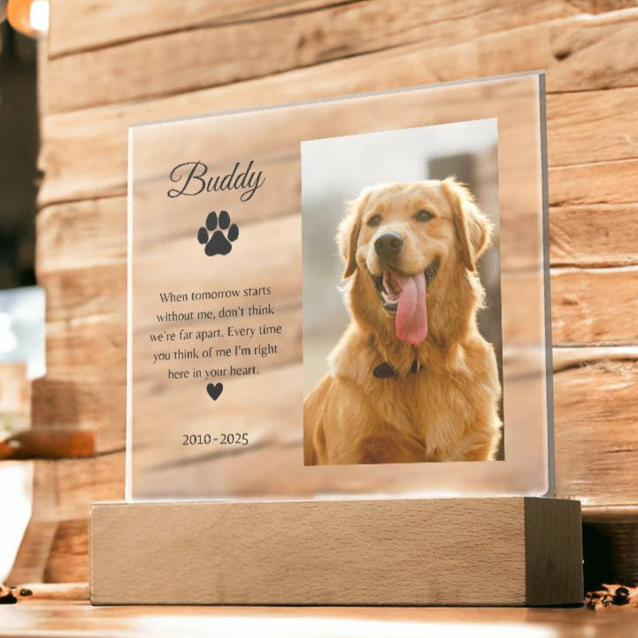 Personalized LED Acrylic Pet Memorial Plaque