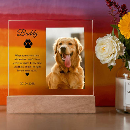 Personalized LED Acrylic Pet Memorial Plaque