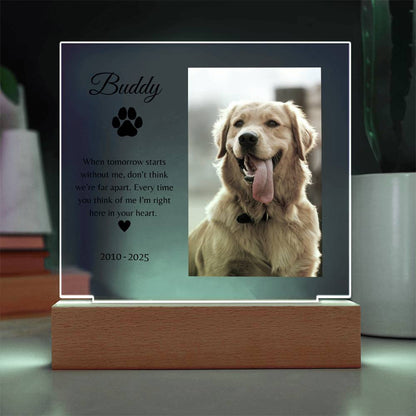 Personalized LED Acrylic Pet Memorial Plaque