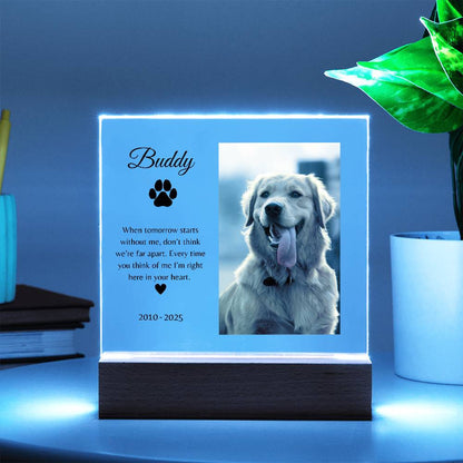 Personalized LED Acrylic Pet Memorial Plaque