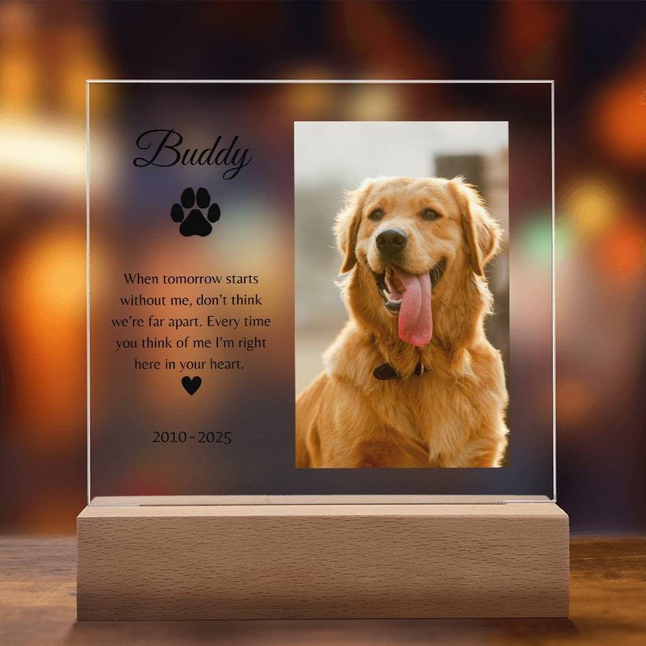 Personalized LED Acrylic Pet Memorial Plaque