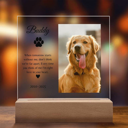Personalized LED Acrylic Pet Memorial Plaque