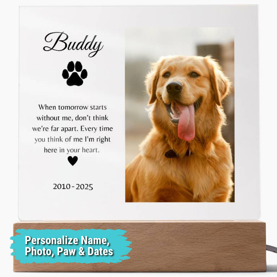 Personalized LED Acrylic Pet Memorial Plaque