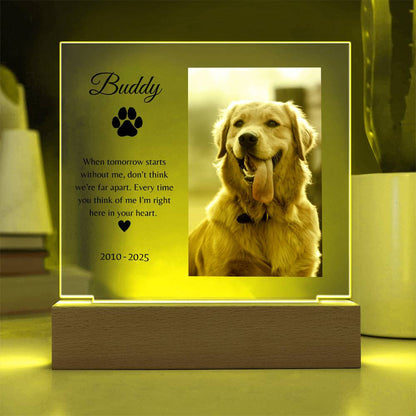 Personalized LED Acrylic Pet Memorial Plaque