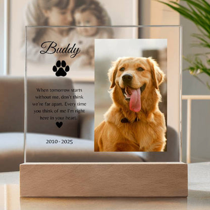 Personalized LED Acrylic Pet Memorial Plaque