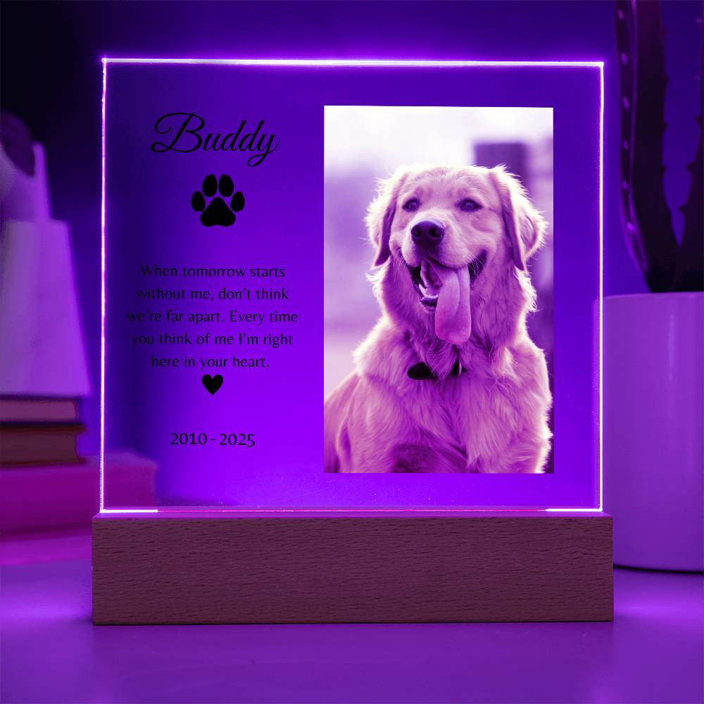 Personalized LED Acrylic Pet Memorial Plaque