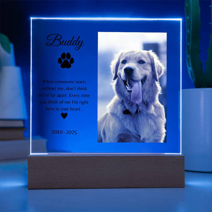 Personalized LED Acrylic Pet Memorial Plaque