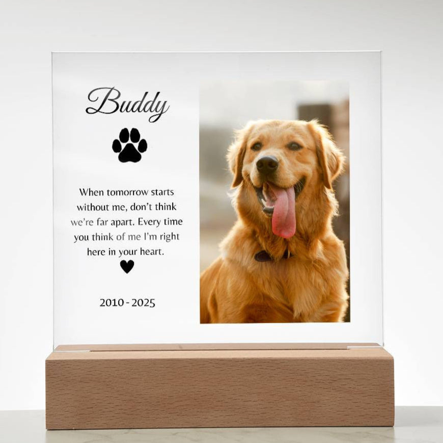 Personalized LED Acrylic Pet Memorial Plaque